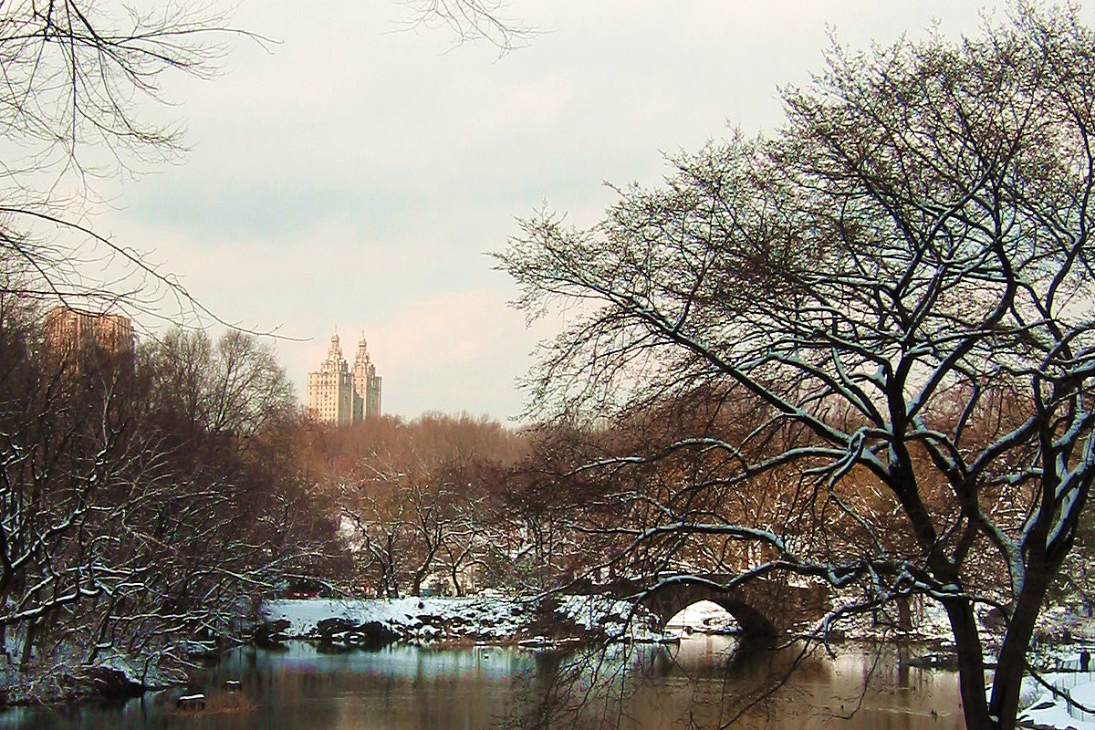Manhattan Central Park as a Winter Wonderland